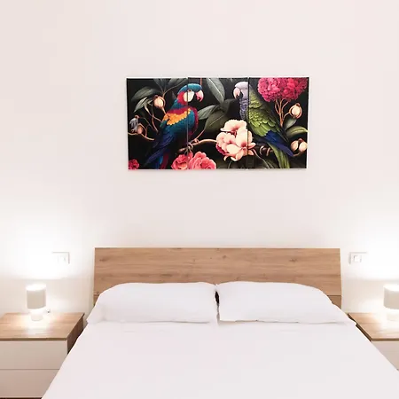 Soraya - & 4* Palau